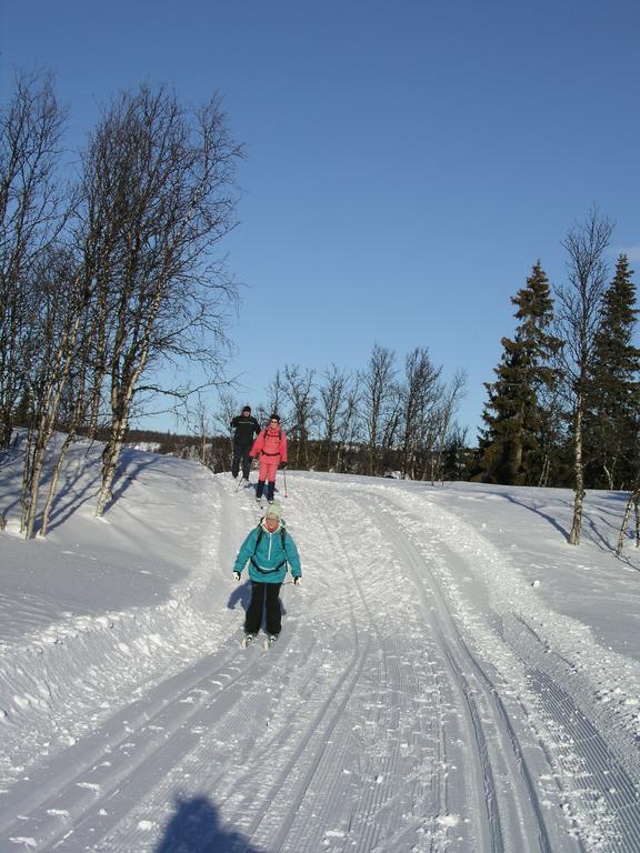 Birkelund Camping Гейло Екстериор снимка