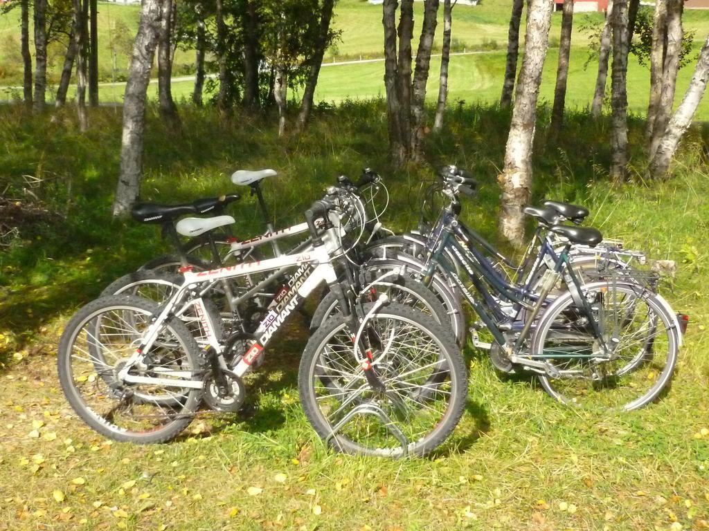 Birkelund Camping Гейло Екстериор снимка