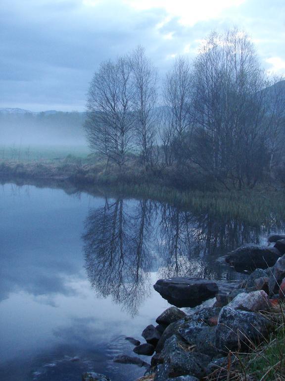Birkelund Camping Гейло Екстериор снимка
